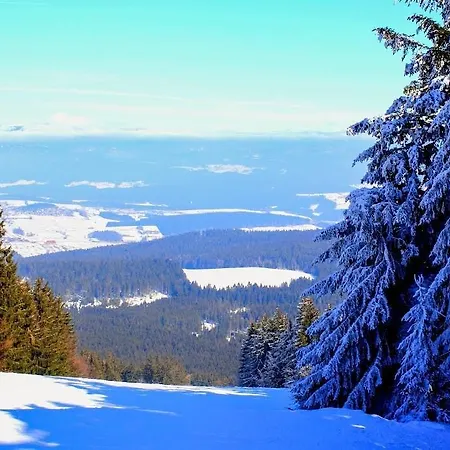 Ski Resort, Golf & Mountainbike Aparthotel Bischofsmais